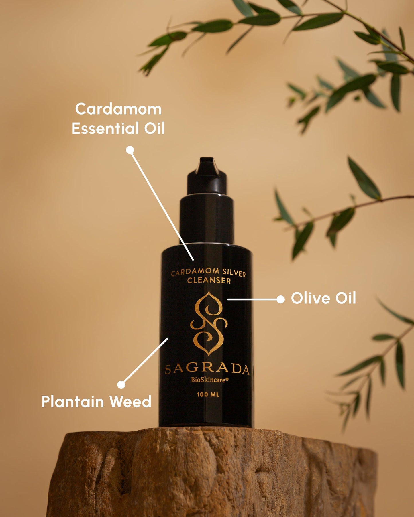 Sagrada BioSkincare Cardamom Silver Cleanser
