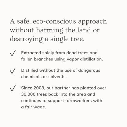 Annmarie Skin Care Palo Santo Hair & Body Mist (4oz)