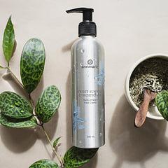 Annmarie Skin Care Sweet Sunrise Conditioner (240ml)