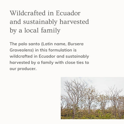 Annmarie Skin Care Palo Santo Body Butter - Rich & Decadent Body Treatment (200 ml)