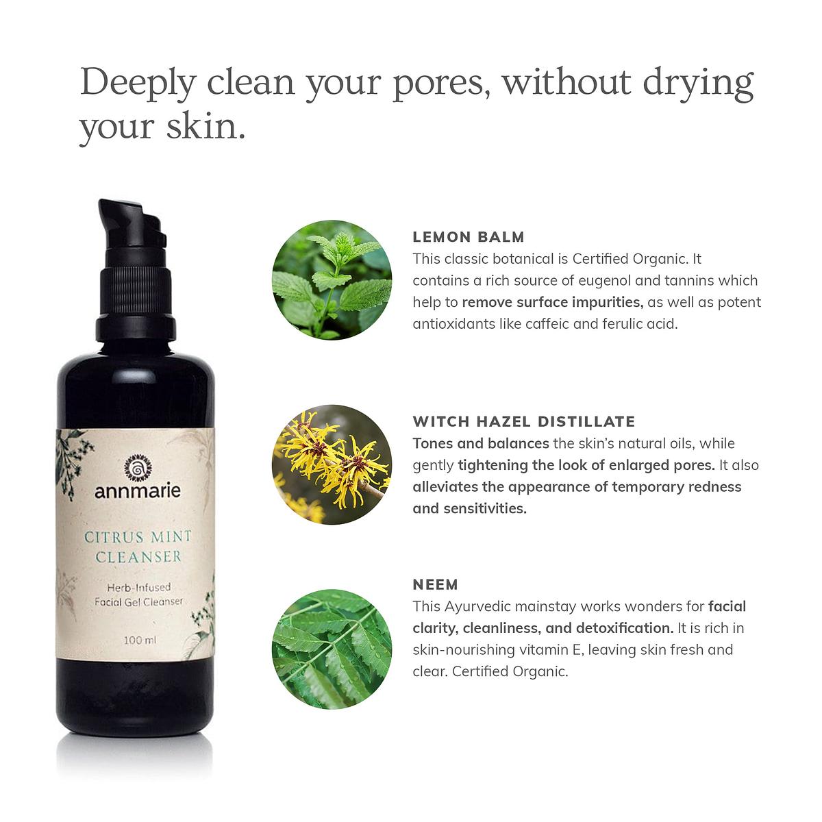 Annmarie Skin Care Citrus Mint Cleanser (100ml)