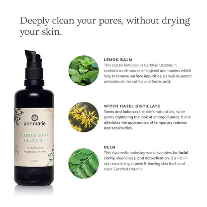 Annmarie Skin Care Citrus Mint Cleanser (100ml)