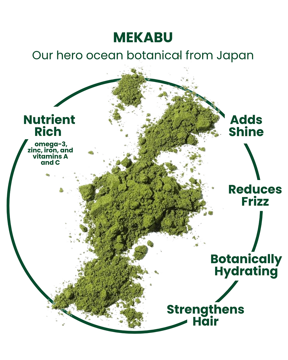 Masami Pro-Ocean Refillable Shampoo Bottle